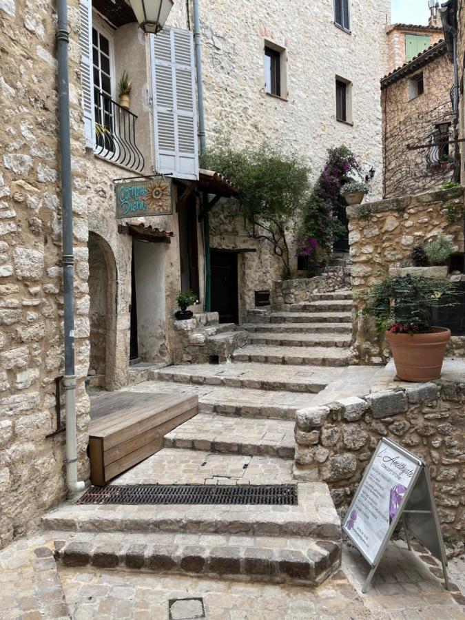 Carpe Diem Hotel Tourrettes-sur-Loup Exterior photo