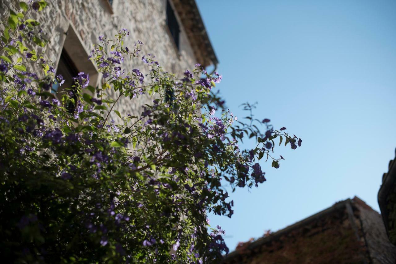 Carpe Diem Hotel Tourrettes-sur-Loup Exterior photo